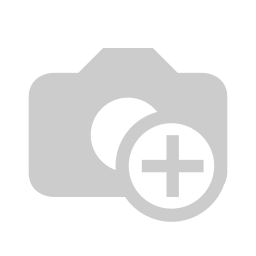 ViewSonic (1 year warranty)