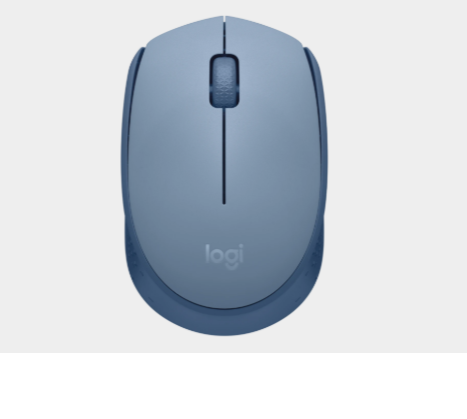 Logitech M171 Wireless Mouse